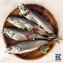 통영 자연해풍 개별진공포장 반건조 손질 전갱이 1미, 왕특대 330g ~ 380g