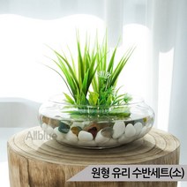 원형 유리 수반세트(소) 테라리움 인테리어수반