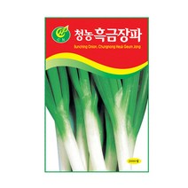 청농 흑금장 대파씨앗 2000립, 단품