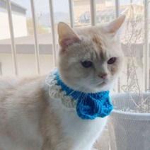 주썸 고양이 강아지 도톰리본케이프 핸드메이드 손뜨개, 파랑