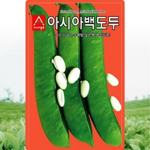 아시아백도두콩 씨앗 5립 기르기 쉽고 수확량 많은 흰색 작두콩 콩씨앗 채소종자, 단품