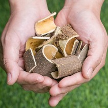 국산 소태나무껍질 200g 소태나무 소태껍질 소태, 1CCQ_국산 소태나무껍질 200g