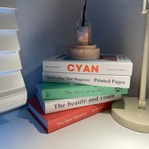 인테리어용책 소품용책 촬영용 디피용 책 플라워