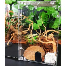 파충류 테라리움장 도마뱀 사육장 모음 엑소테라 렙티주 DJ 크레스티드게코 도마뱀 거북이, C