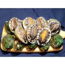 완도 활 전복 특대/꼬마 1kg 당일발송 대유수산, 꼬마전복 24-28미 1kg