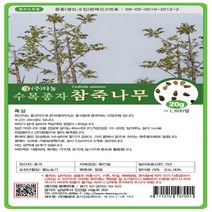 다-참죽나무 20g