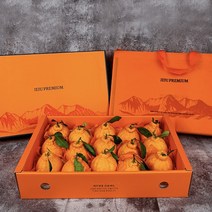 [고당도 과일] 프리미엄 제주 한라봉 특대과, 한라봉 가정용 중대과(특) 사이즈, 3kg (9과~12과)