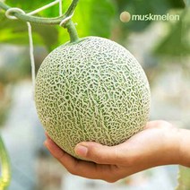 국내산 멜론 고당도 머스크 메론 특등급, 4kg/2수/1수당 2kg내외
