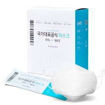 늘푸른 황사 방역용 마스크 KF94(대형) 50매 귀편한 마스크 국내생산, 화이트
