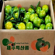 탐라인 산지직송 제주 조생 유라조생 극조생감귤 로얄과 3kg내외, 1box, 3kg