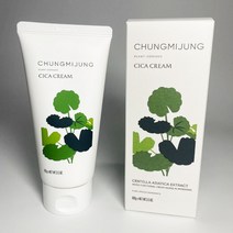 청미정 아데노신 시카크림 수분크림 진정크림 샘플증정 100g, 청미정 시카크림
