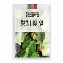 조은약초 황칠나무 잎 200g