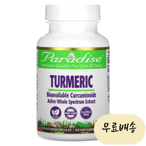 파라다이스 허브 60개입 강황뿌리 Tumeric [미국 직배송] 터메릭 250mg 60캡슐, 1개, 60개