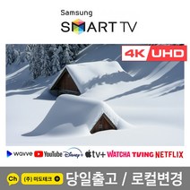 삼성 55인치 4K 스마트 UHD TV 55AU8000 초고화질, 2. 수도권역 벽걸이 +상하브라켓
