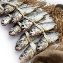 영광법성포 보리굴비 28cm 10미 가정용 개별진공 다시팩 녹차가루 증정 가락시장 도매 힘바다 가락금호상회