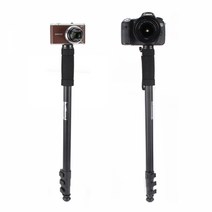 여행 모노포도 핸드 스틱 WT1003 DSLR 카메라 삼각대 미러리스