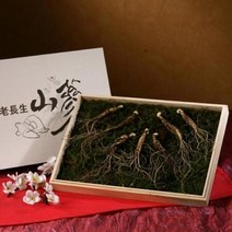기타 장수산삼 8년근 7주 7뿌리