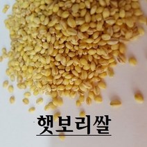 햇찰보리 국산찰보리 22년산햇찰보리쌀, 1개, 5kg