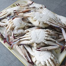 서해안 숫꽃게 3kg/11~13미/미당250g내외, 단품