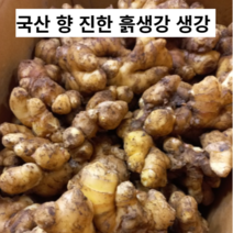 국내산 단단한 햇생강 1kg 3kg 햇 생강 흙생강 흙 생강 국산생강 국산 국내산