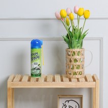 에어컨 히터 탈취제 300ml 차량 곰팡이 냄새 제거제