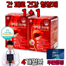 몸이피곤할때 간기능저하 간 ALT 건강 지방간영양제 간수치낮추는법