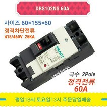 대륙 DBS102NS 60A 배선용차단기 2P60A MCCB