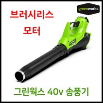 그린웍스 40v 신형엑시얼 충전 블로워 낙엽청소기 충전식 브로워 전동 송풍기 제설기, 선택1 본체만