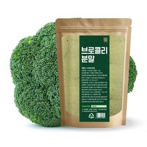 브로콜리분말 300g 브로콜리가루, 선택01- 브로콜리분말(국내산) 300g, 선택01- 브로콜리분말(국내산) 300g