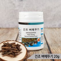 열풍건조 벼메뚜기 20g 소동물 앵무새 고단백질 간식, 단품