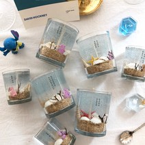 [DIY] 바다캔들 만들기 diy키트, 클린코튼, 없음