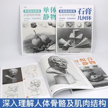 4Book.set 구조에서 빛과 그늘에 기본 스케치 자습서 정물 석고 그림 그리기, 한개옵션0