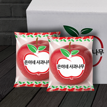 은이네사과나무 에플데이 정품 세척사과 5~15kg, 1)애플데이 세척사과 24과(5kg)
