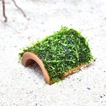 수초 반구토분 윌로 모스 활착 열대어 어항 수중이끼.헬로아쿠아