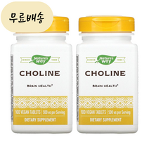 네이처스 웨이 콜린 500mg 100정 2병 콜린타르타르산염 아세틸콜린 전구체 Choline, 2개, 100개