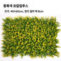 플랜트월 식물벽 인테리어 벽장식 포토존, 27.황록색 유칼립투스 미터, 1개