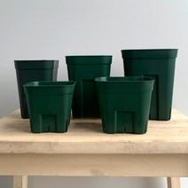 팡팡플랜트분갈이 인테리어 슬릿화분 프리스테라, 모스그린 90