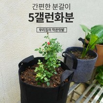 부직포 화분 베란다 텃밭 다용도 그로우백 블루베리 고구마 키우기 가정용 미니 5갤런, 상품선택, 2화분5갤런-그레이