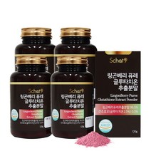 스캇나인 링곤베리 퓨레 글루타치온 추출분말 120g, 4개