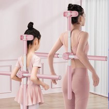 바른핏스트레칭봉 싸게파는 제품 중에서 다양한 선택지