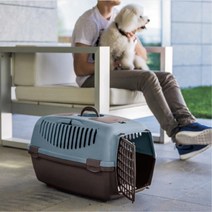 웰시코기 강아지이동장 중형견 애견가방 비행기펫캐리어 반려동물이동장