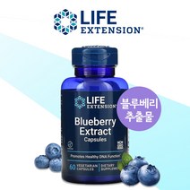 Life Extension 블루베리 추출물 Blueberry Extract Capsules 60정 베지캡슐 말토덱스트린 Maltodextrin Vegetarian Capsules