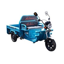 성인자전거 세발 어른 삼륜 3발 가정용 전기 자전거 당김 용품 내구, 2.60v50ah