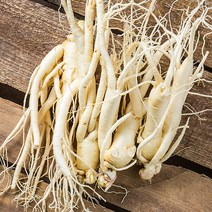 금산 인삼 350g 세척 수삼 인삼꽃주 삼계삼 난발삼 아카시아꿀 동강이 꿀절임 파삼 막삼 가정용삼 인삼차, 21_1J0W_인삼꽃 5송이