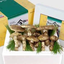 국내산 냉동송이버섯(등외품) 1kg