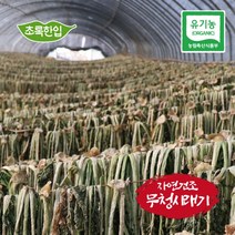 국내산 유기농 건무청 말린시래기 500g, 1개, 상세페이지 참조