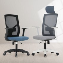 린백토리 스윙백 LTT10S 사무실 공부 학생 허리 편한 게이밍 컴퓨터 책상 메쉬 의자, 스카이블루, 헤드무, 화이트바디