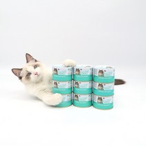 동동이네 고양이 습식사료 전연령용 대용량 주식캔 구내염예방 고양이캔 사조 옵티원 부스트 닭안심 맛살 160g, 24개