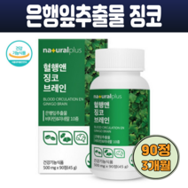 내추럴플러스 혈행앤 징코 브레인 팔라티노스 은행잎추출물 비타민B6 판토텐산칼슘 셀렌 아연 망간 90정