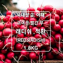미트팬트리 귀여운 빨간 무 국내산 生 레드 래디쉬 FRESH RED RADISH 적환 1.8Kg